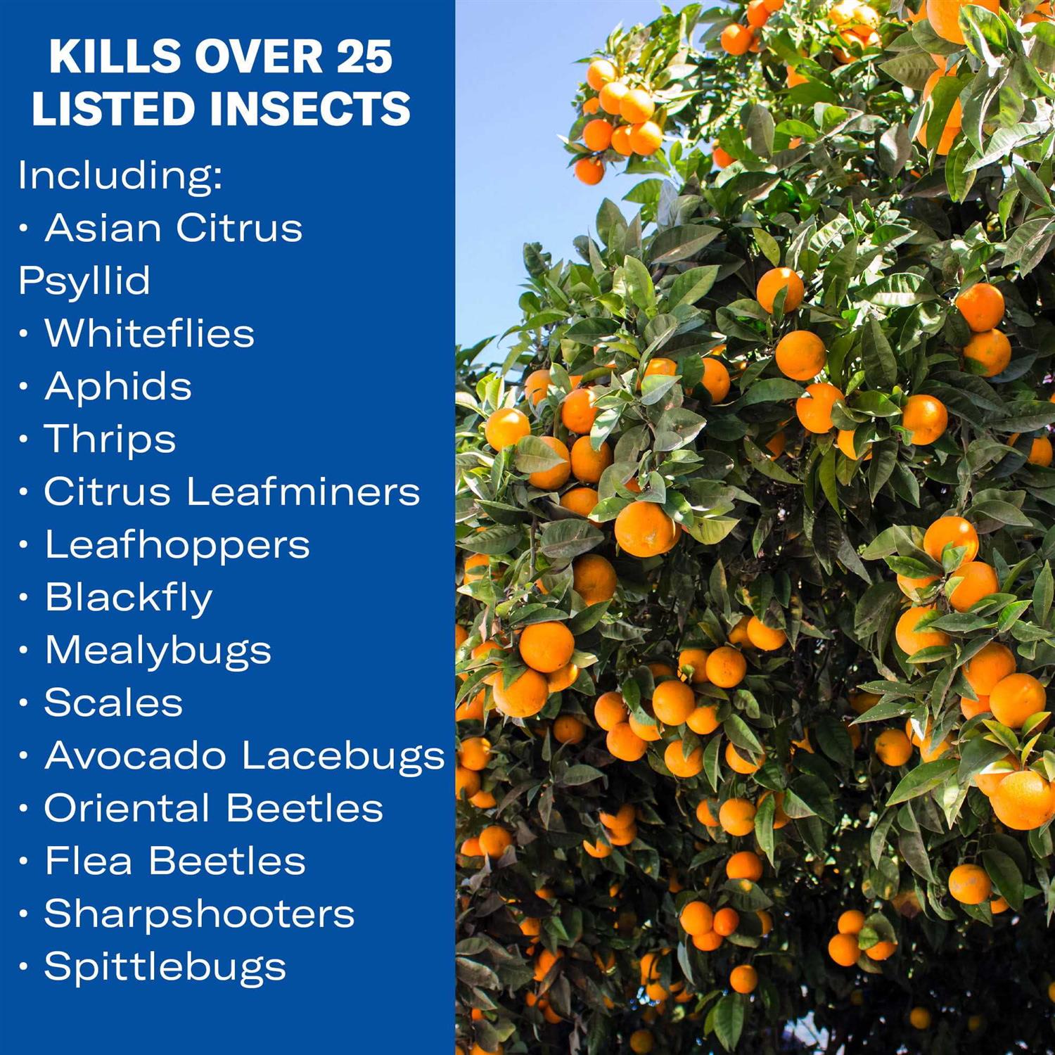 BioAdvanced Fruit & Citrus Tree 707520