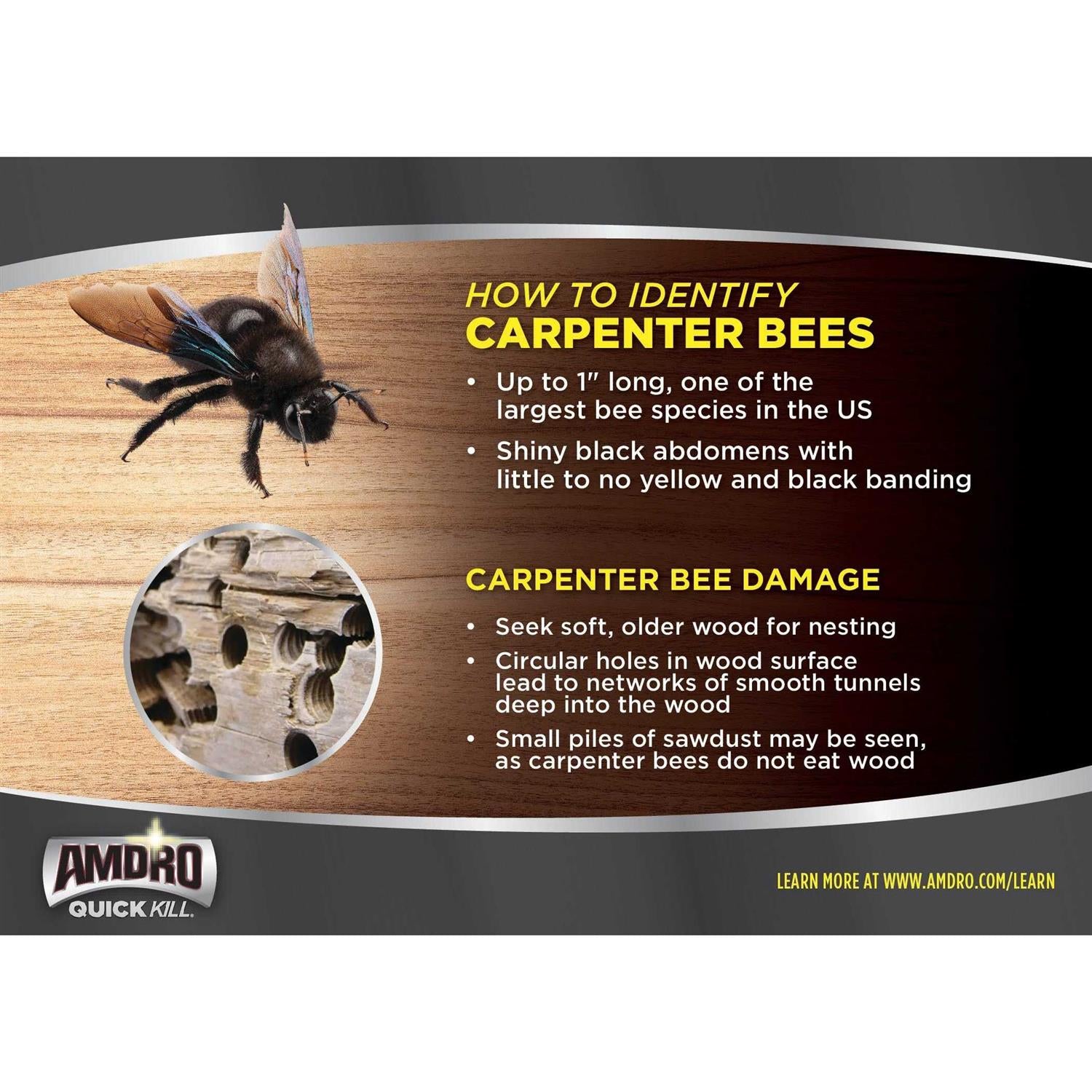 Amdro Quick Kill Carpenter Bee Killer 100526850