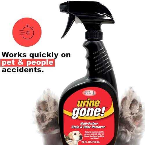Urine Gone Stain & Odor Eliminator