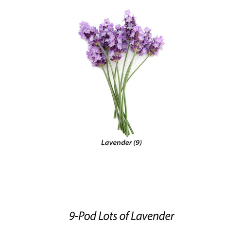 Aerogarden Lots of Lavender Seed Pod Kit