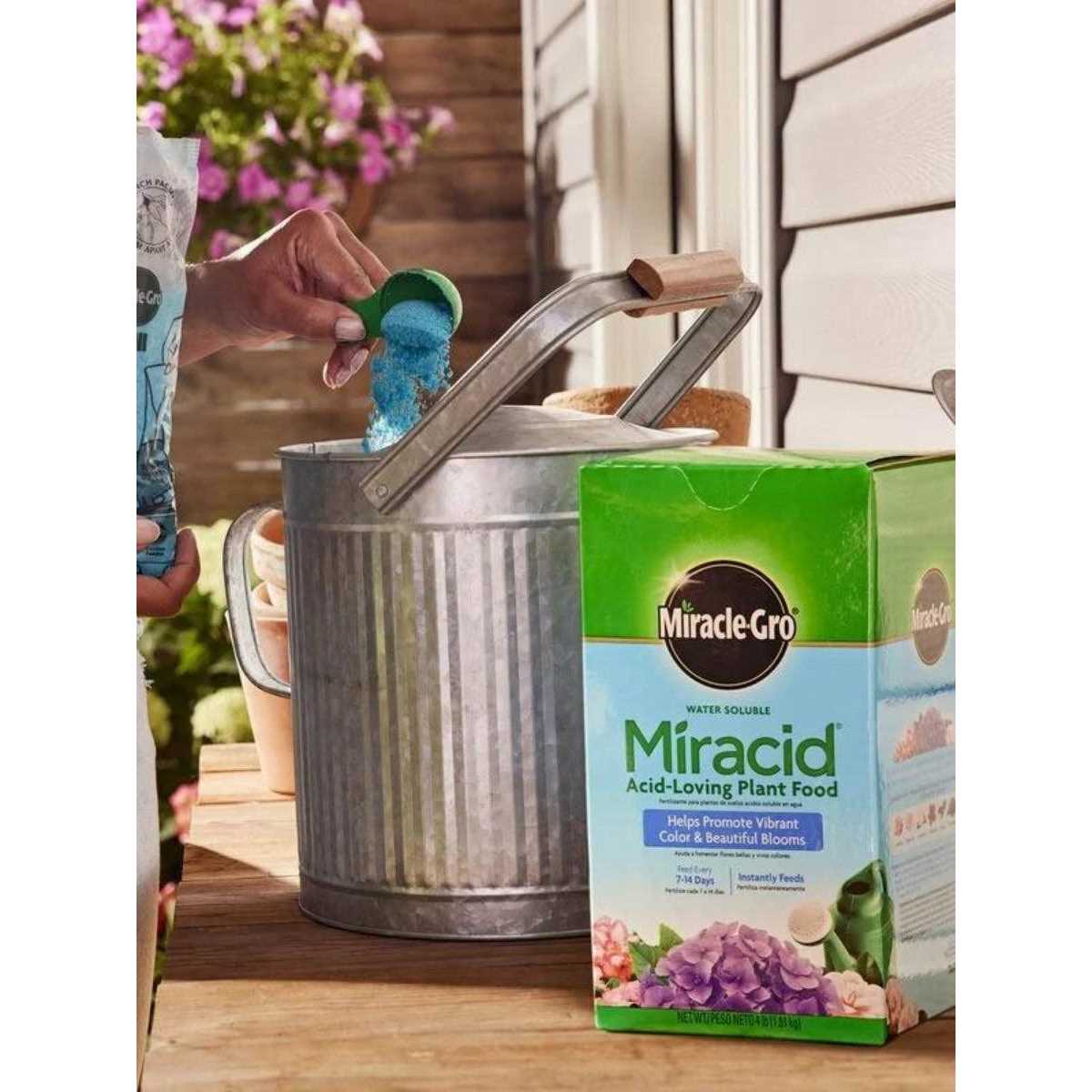 Miracle-Gro Miracid Acid-Loving Plant Food